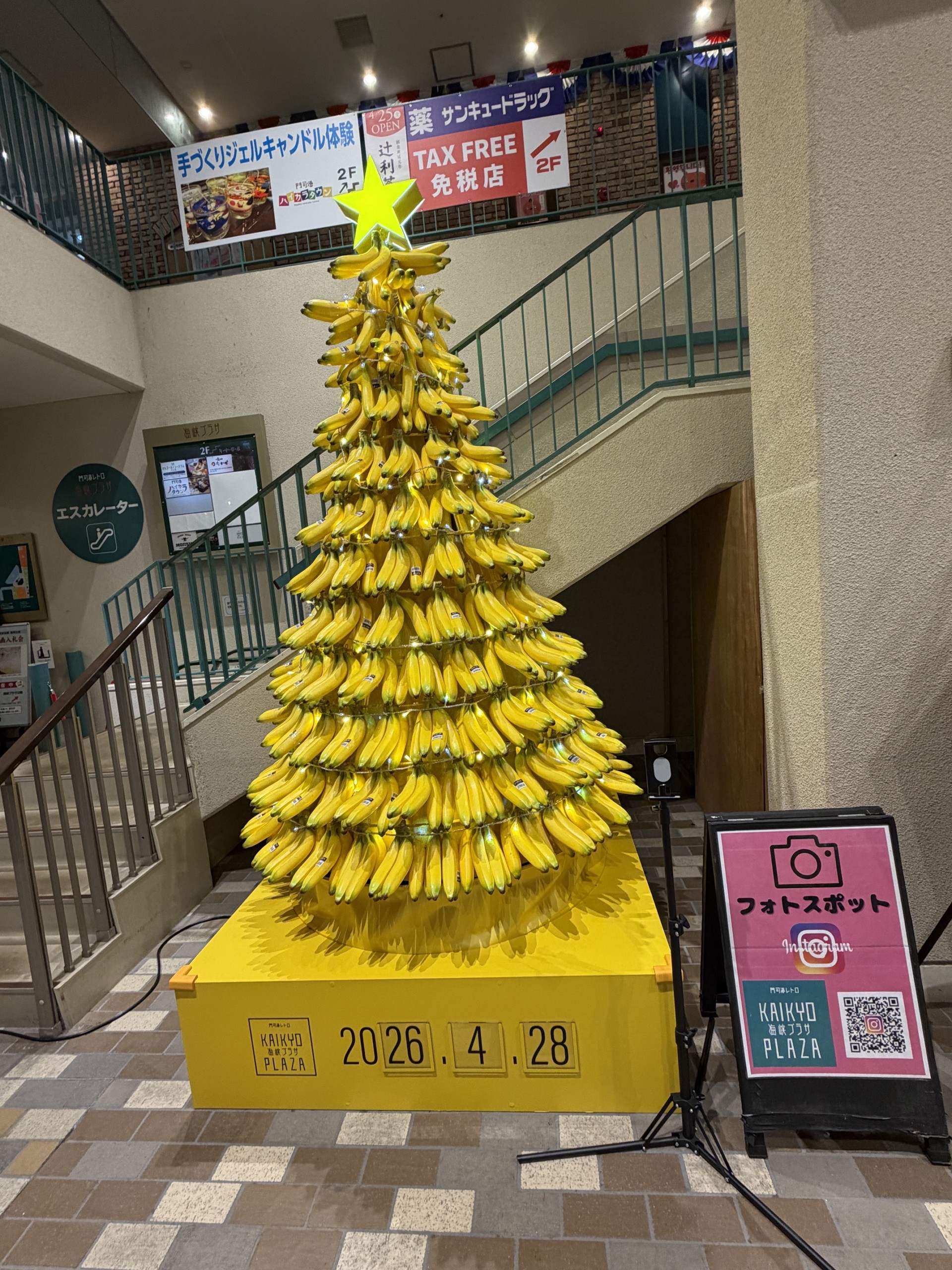新フォトスポット『バナナツリー』登場 - img
